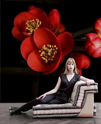 Фотообои Ветка сакуры с красными цветами на черном фоне TSv2747 фото