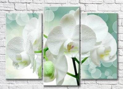 Триптих Ветка белой орхидеи на зеленом фоне 3D7897 фото