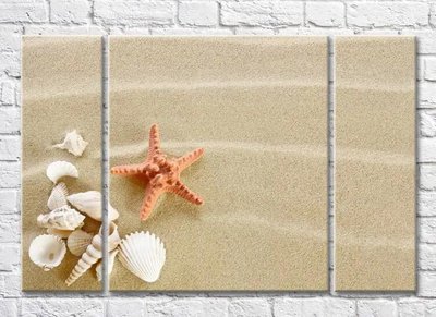 Триптих Морская звезда и ракушка на песке Mor10047 фото