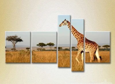 Модульные картины Жираф. Кения. Африка. ZHi9847 фото