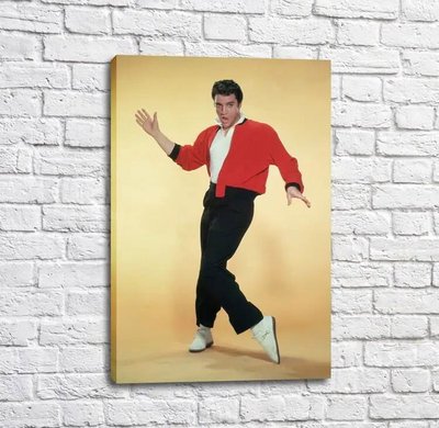Poster Elvis Presley într-o jachetă roșie pe fond bej Tan18259 фото