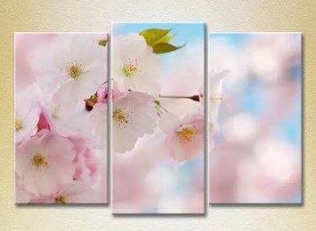 Tablouri modulare Sakura flowers_02 TSv9739 фото