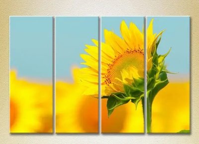 Tablouri modulare Floarea soarelui TSv7989 фото