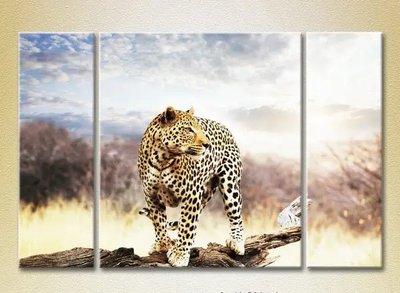 Модульные картины Леопард на бревне_01 ZHi10489 фото