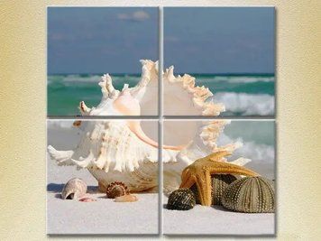 Модульные картины Морские ракушки_02 Mor9298 фото