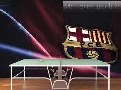 Логотип футбольной команды Барселона, футбол Spo2998 фото