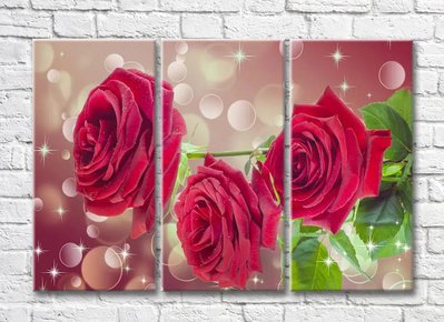 Крупные цветки красных роз на абстрактном фоне TSv5449 фото