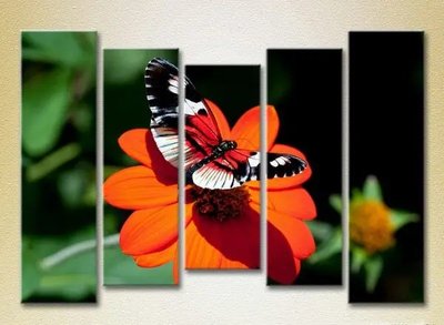 Tablouri modulare Fluture pe o floare_06 ZHi9849 фото