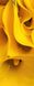 3Д наклейка на дверь, Желтые цветы крупным планом D218 фото 4