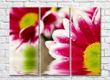 Triptic Crizanteme stacojii pe apă TSv8100 фото