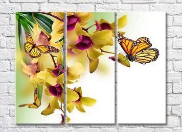 Triptic Fluturi galbeni pe un fundal de arhidee galbenă TSv8050 фото