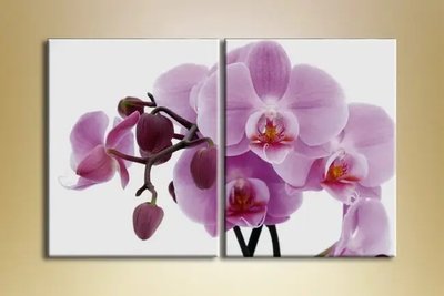 Модульные картины Орхидея розовая TSv6651 фото