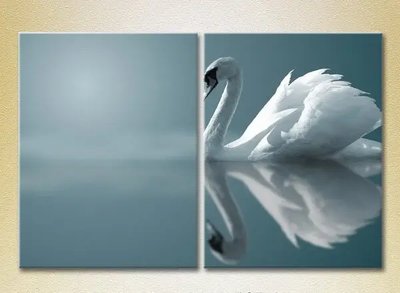 Модульные картины Белый лебедь ZHi8801 фото