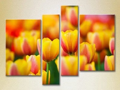 Модульные картины Желто красные тюльпаны TSv7701 фото