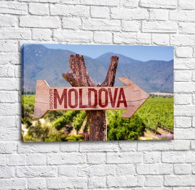 Poster Discover Moldova Mot15086 фото