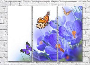 Triptic Fluturi pe un fundal de crocus liliac TSv8053 фото