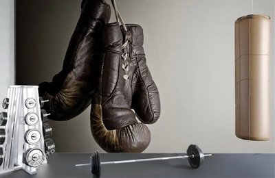 Фотообои Коричневые боксерские перчатки на сером фоне, спорт Spo3003 фото