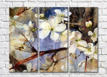 Flori albe de sakura pe fundalul ramurilor-desen TSv6354 фото