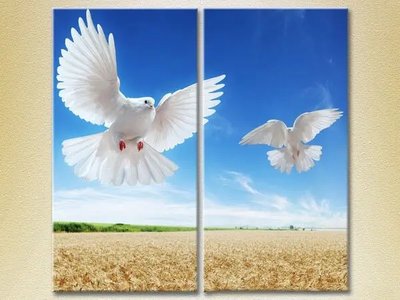 Модульные картины Два голубя в полете ZHi8804 фото