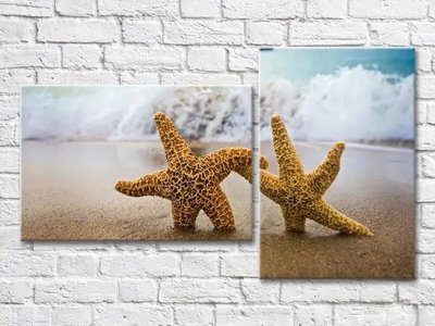 Диптих Две морские звезды в песке Mor8254 фото