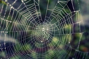 Fototapet - "Natura si peisaje_26" Pri4355 фото
