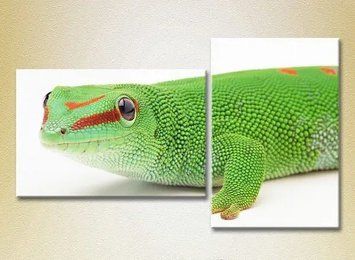 Модульные картины Ящерица ZHi8805 фото