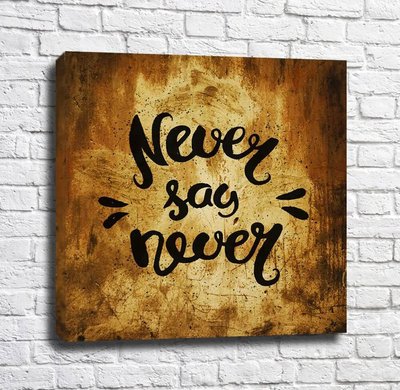 Poster Never Say Never Mot15139 фото