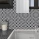 Placă &icirc;n stil op art cu linii diagonale alb-negru P8 фото 6