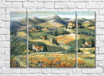 Triptic Vineyards In The Hills 001_1 Pro10256 фото