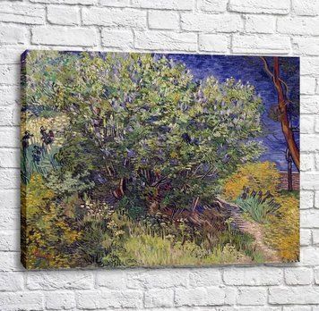 Картина Vincent van Gogh Lilac Bush [1889] Van11606 фото