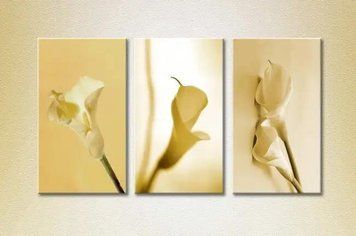 Tablouri modulare Calla 1 TSv7657 фото