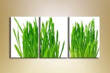 Tablouri modulare Juicy greenery TSv7890 фото