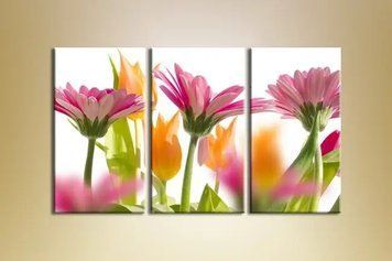 Tablouri modulare Gerberas Pink TSv7658 фото