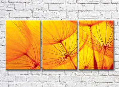 Triptic Abstracție de petale de păpădie pe un fundal galben 3D7758 фото