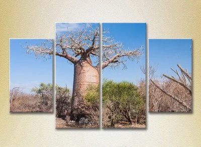 Tablouri modulare Baobab Pri7608 фото