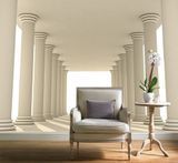 Fototapet - "Fototapet Coridor de coloane &icirc;n perspectivă" 3D4759 фото