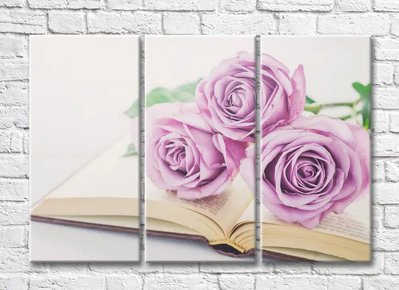 Букет лиловых роз на открытой книге TSv5459 фото