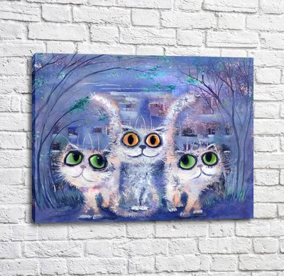 Poster Trei pisici albe cu ochi mari Kot17038 фото