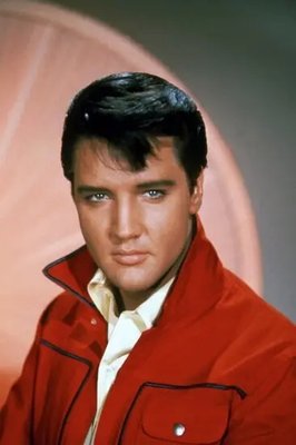 Afiș foto Presley Elvis Isp16181 фото