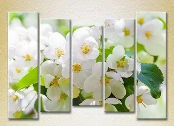 Tablouri modulare Apple blossom_05 TSv7113 фото