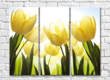 Triptic Lalele galbene cu picături de rouă TSv8063 фото