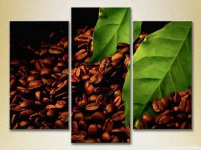 Модульные картины Зерналистья кофе Eda10713 фото