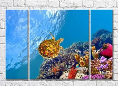Триптих Рыбками с черепахой в море Mor10064 фото