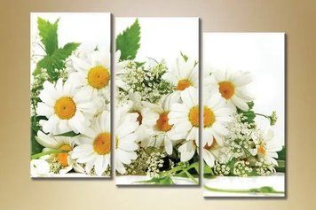Tablouri modulare Daisies_07 TSv7665 фото