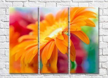 Triptic Gerbera portocalie pe un fundal de apă TSv8065 фото