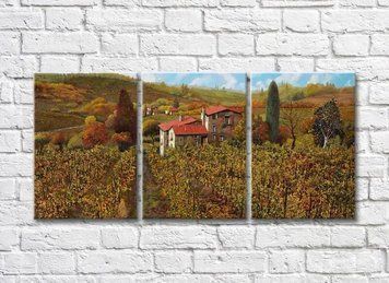 Triptic Vineyards In The Hills 005_1 Pro10265 фото