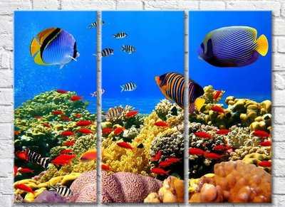 Триптих Синие рыбки плавающие в море Mor10015 фото