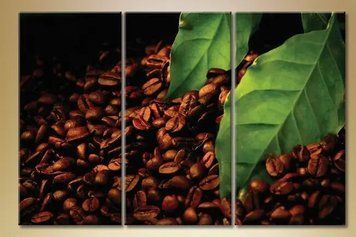 Modele modulare ale cerealelor de cafea5 Eda8566 фото
