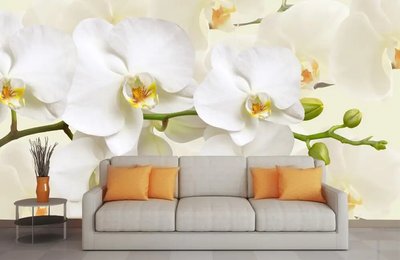 Ветка белой орхидеи с крупными цветками и бутонами TSv967 фото