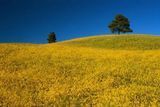 Fototapet - "Natura si peisaje_09" Pri4391 фото